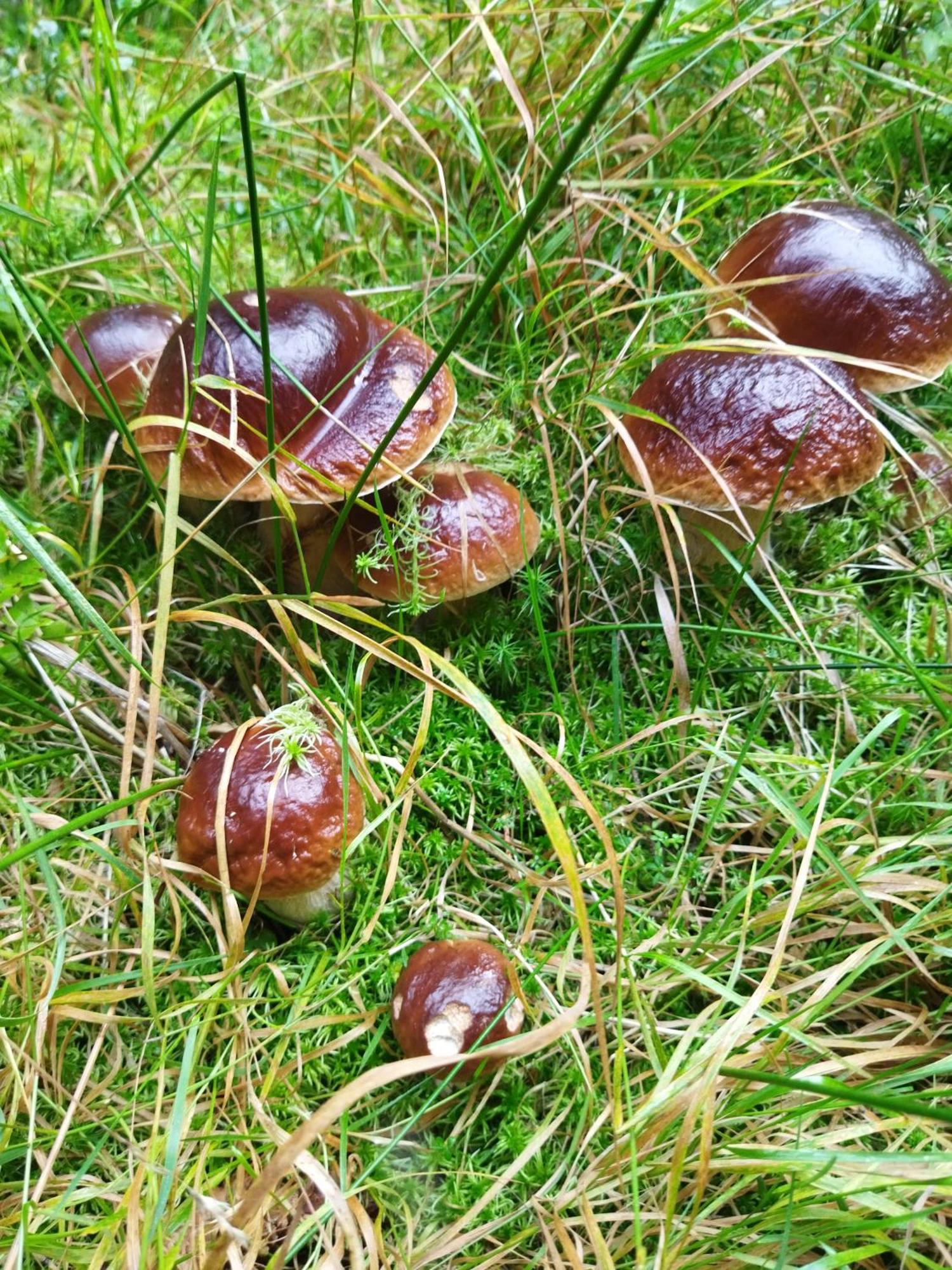 Agroturystyka Teosiowo Pobiedna Exterior foto